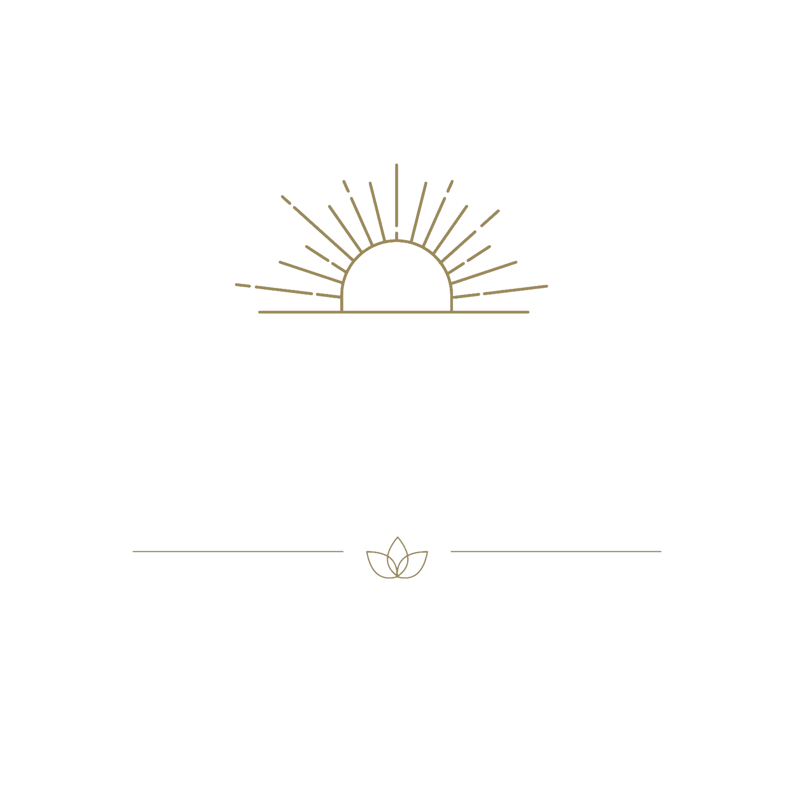 SBIG Logo